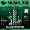 Vozol Gear Shisha 25000 Blackcurrant ice