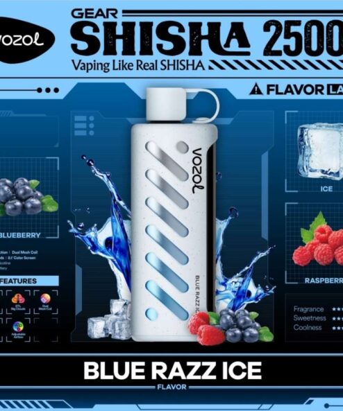 Vozol Gear Shisha 25000 Blue Razz ice